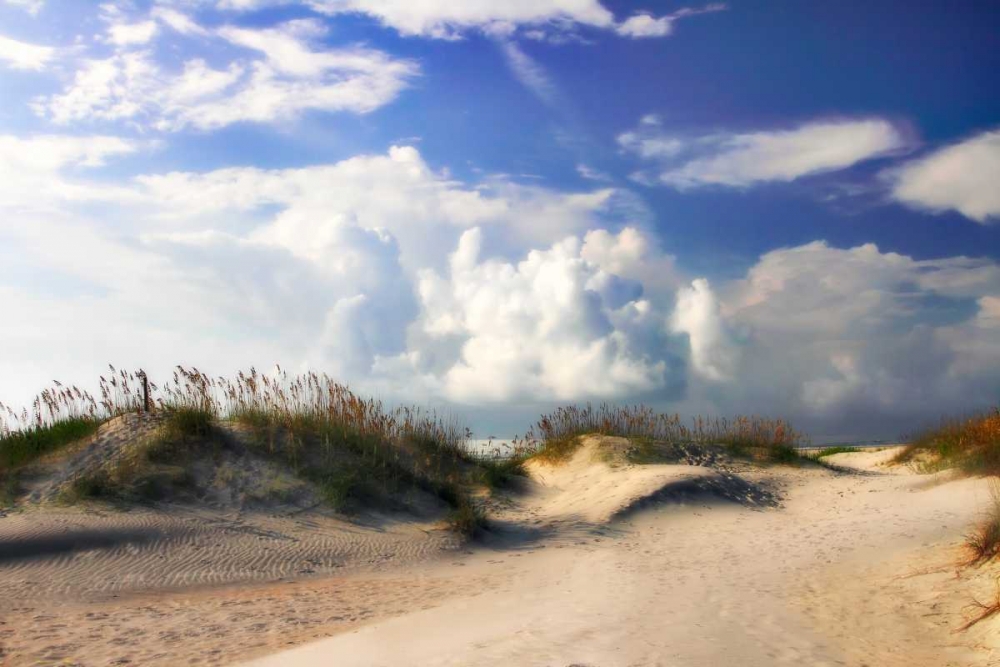 Summer Dunes I art print by Alan Hausenflock for $57.95 CAD