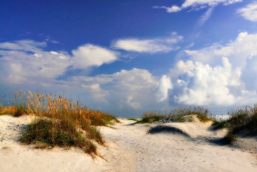 Summer Dunes II art print by Alan Hausenflock for $57.95 CAD