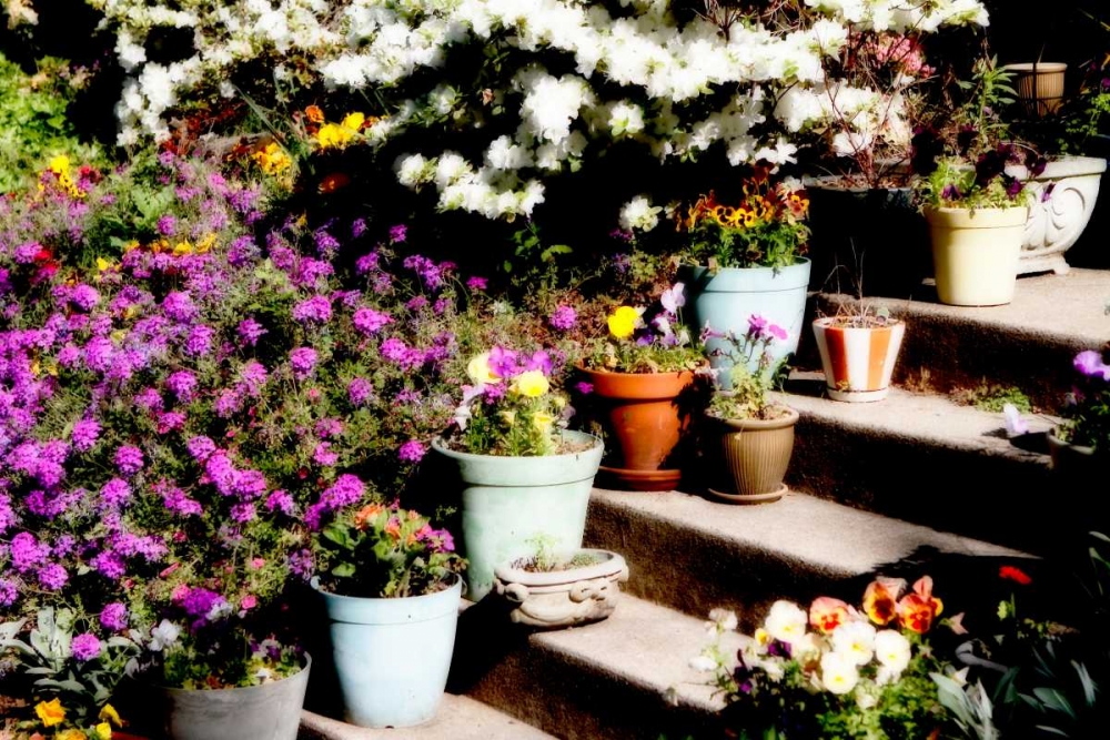 Sidewalk Spring II art print by Alan Hausenflock for $57.95 CAD