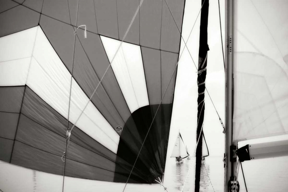 Downwind I art print by Alan Hausenflock for $57.95 CAD