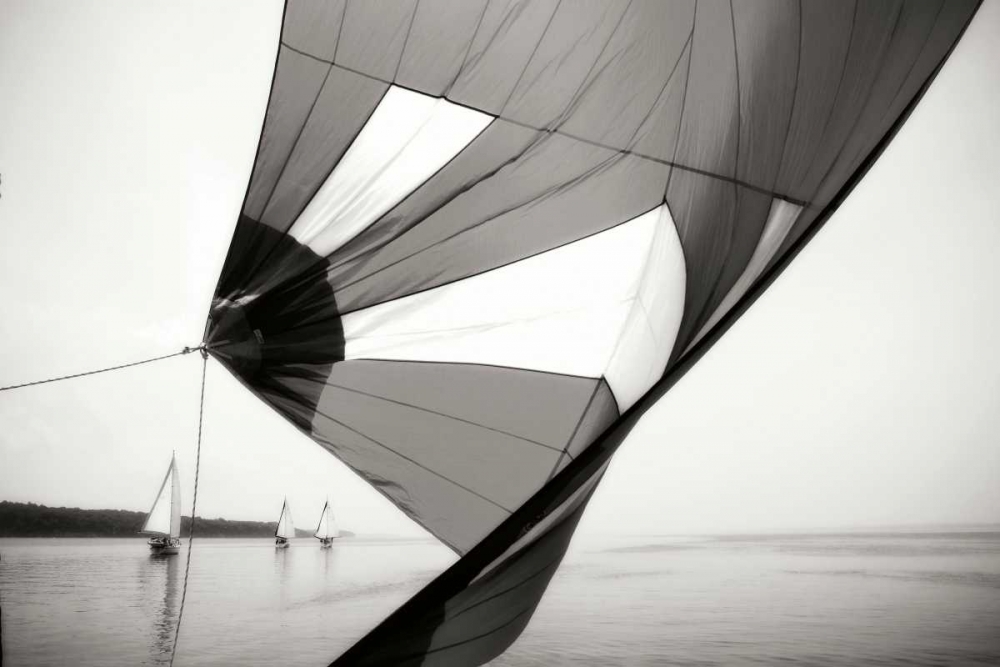 Downwind II art print by Alan Hausenflock for $57.95 CAD