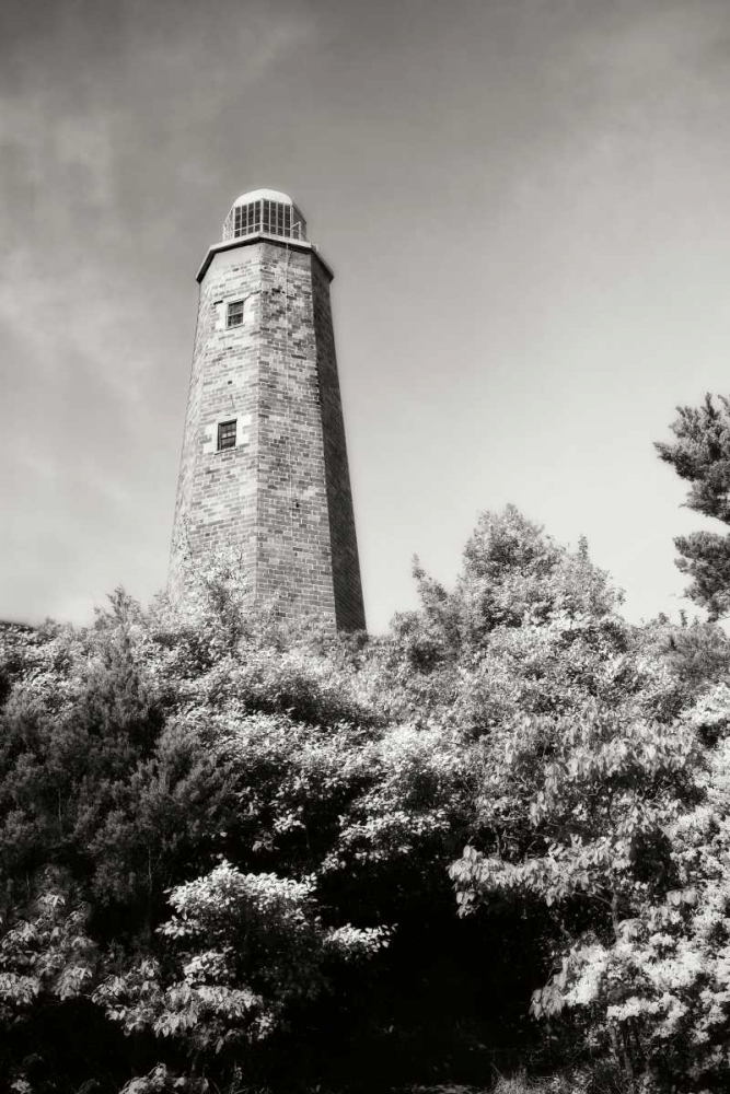 Old Cape Henry Light I art print by Alan Hausenflock for $57.95 CAD