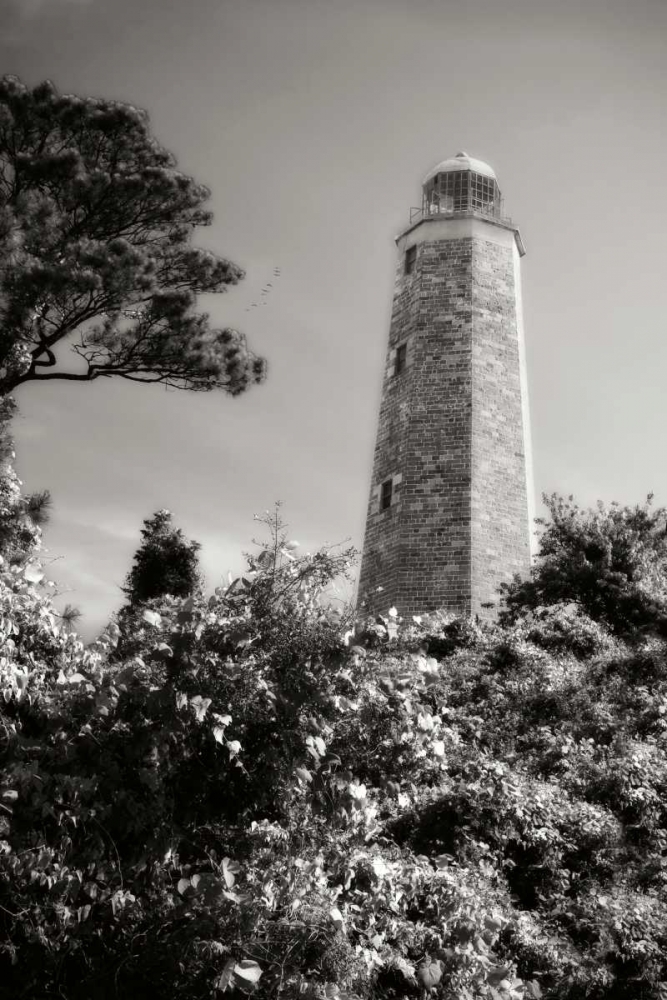 Old Cape Henry Light II art print by Alan Hausenflock for $57.95 CAD