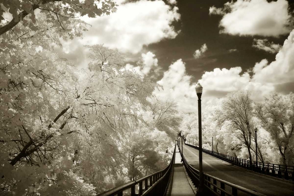 Boulevard Bridge II art print by Alan Hausenflock for $57.95 CAD