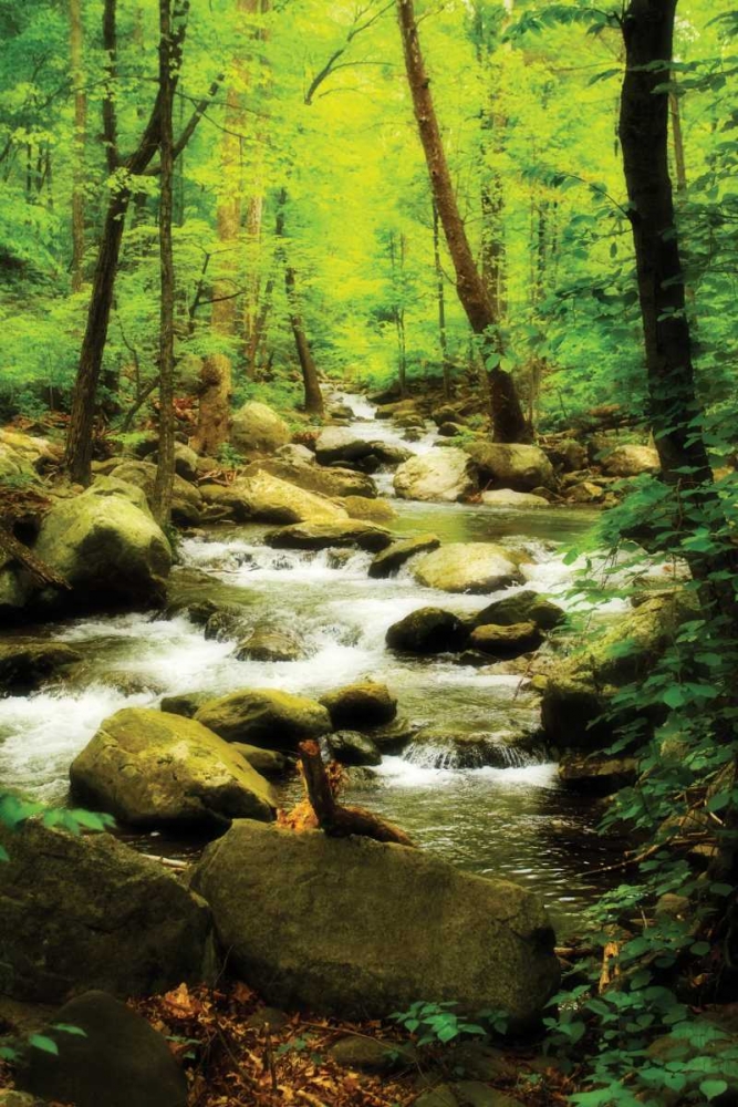 White Oak River I art print by Alan Hausenflock for $57.95 CAD