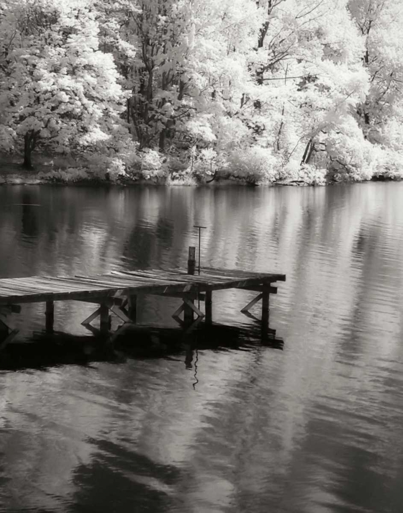 Mint Springs Lake BW V art print by Alan Hausenflock for $57.95 CAD