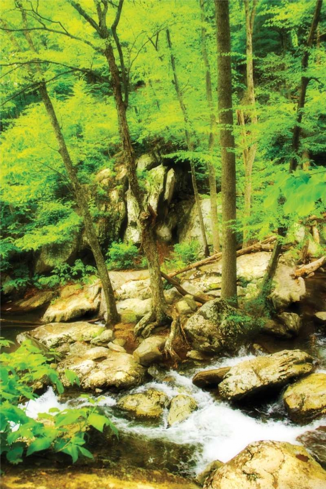 White Oak River II art print by Alan Hausenflock for $57.95 CAD