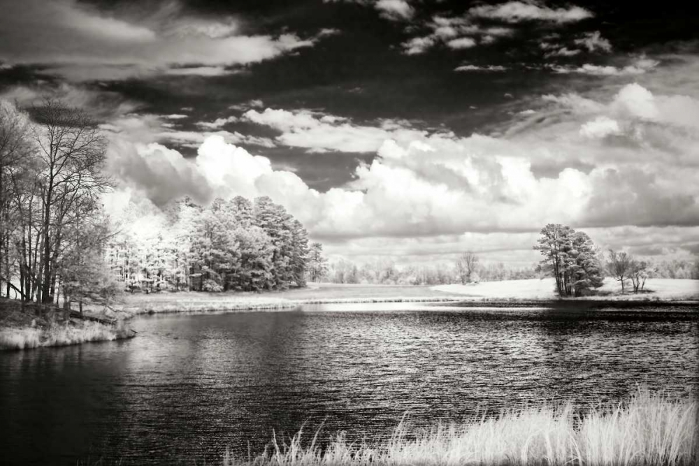 Shearon Lake IV art print by Alan Hausenflock for $57.95 CAD