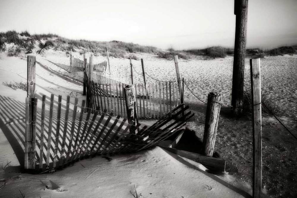 Dunes Fence II art print by Alan Hausenflock for $57.95 CAD