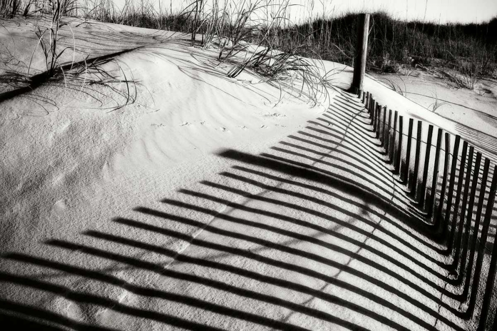 Dunes Fence III art print by Alan Hausenflock for $57.95 CAD