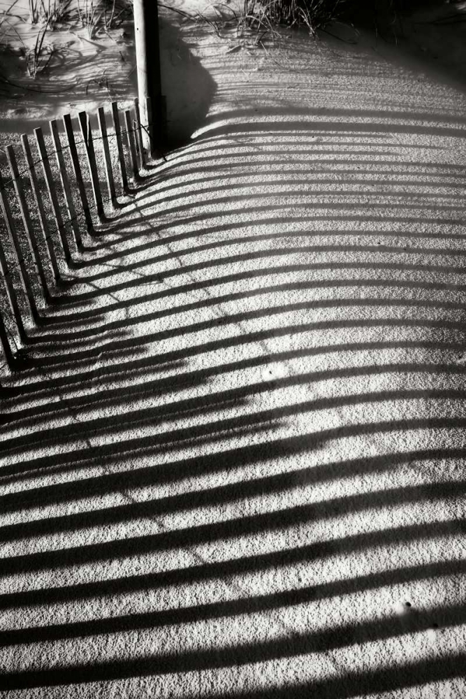 Dunes Fence V art print by Alan Hausenflock for $57.95 CAD