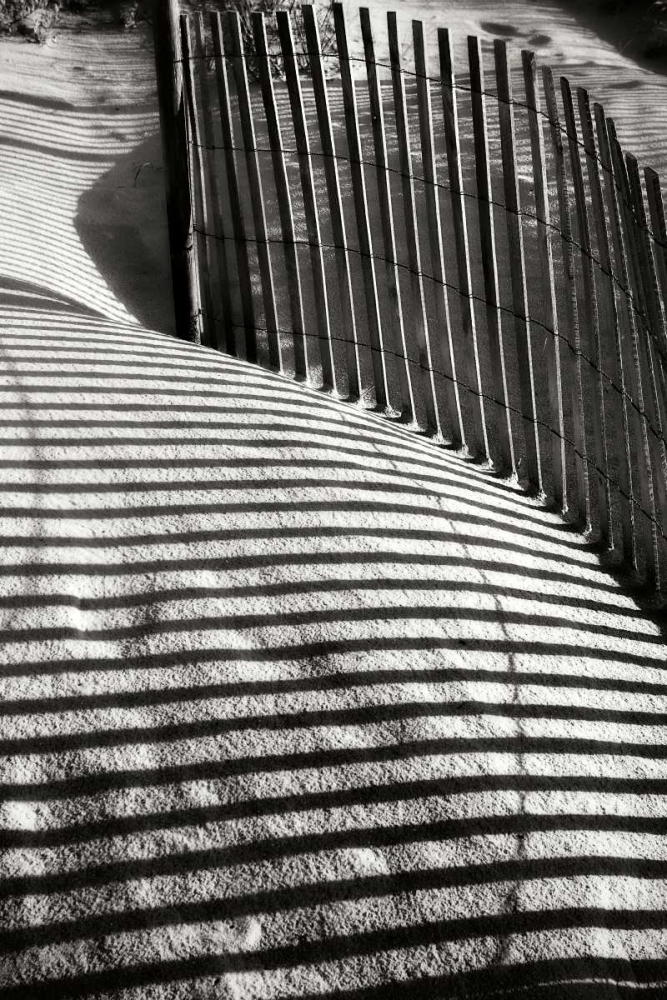 Dunes Fence VI art print by Alan Hausenflock for $57.95 CAD