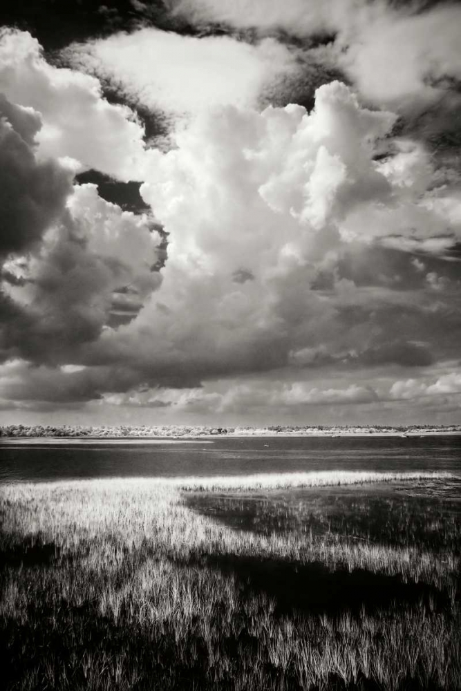 Everette Bay III art print by Alan Hausenflock for $57.95 CAD
