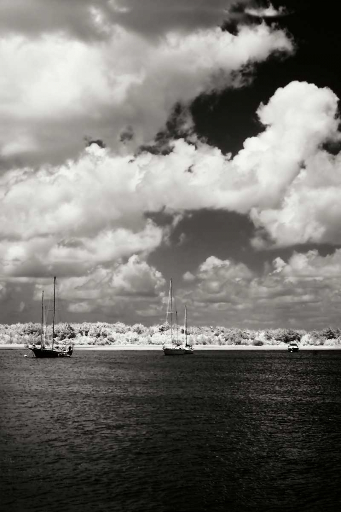 Everette Bay IV art print by Alan Hausenflock for $57.95 CAD