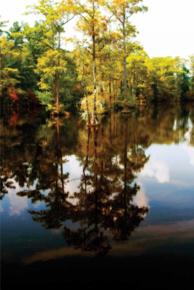 Still Water I art print by Alan Hausenflock for $57.95 CAD