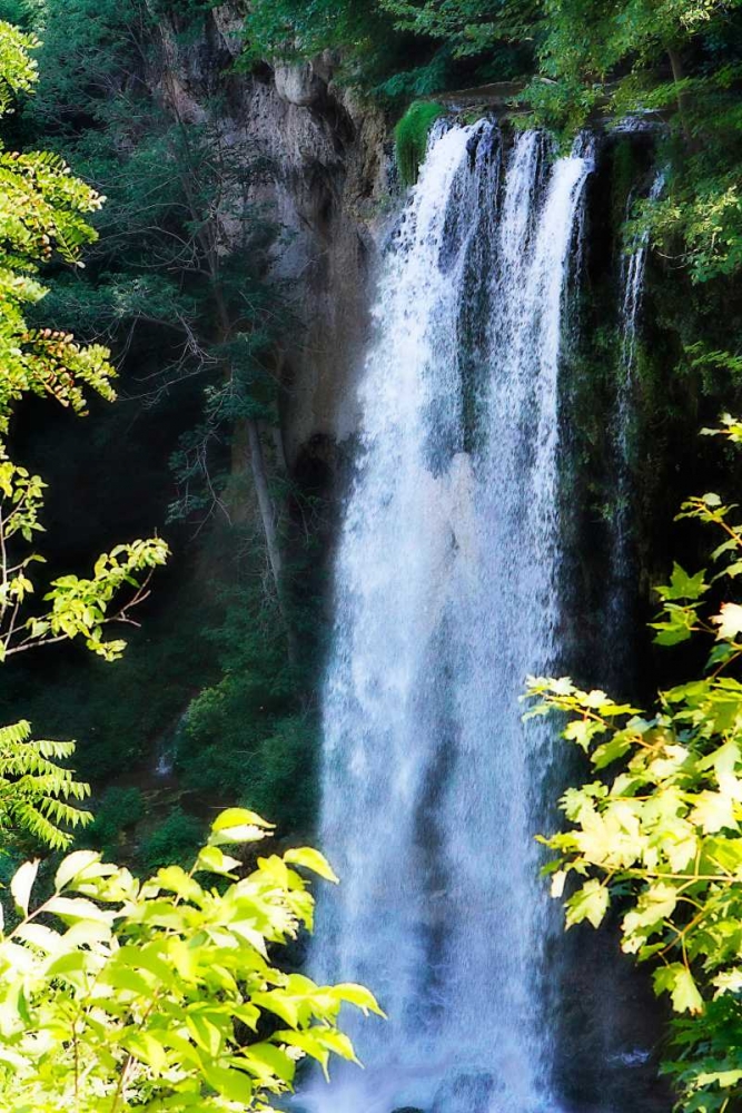 Falling Springs I art print by Alan Hausenflock for $57.95 CAD