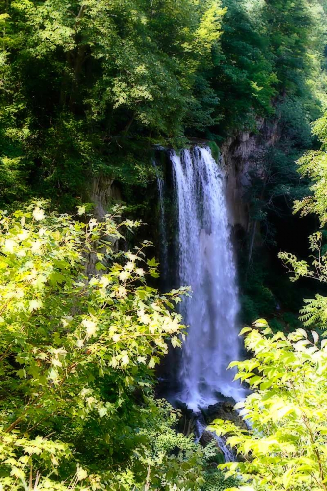 Falling Springs II art print by Alan Hausenflock for $57.95 CAD