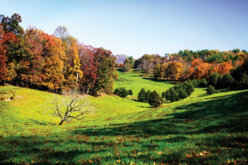 Virginia Hills I art print by Alan Hausenflock for $57.95 CAD