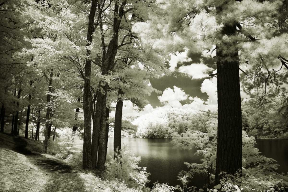Along the Lakeshore I art print by Alan Hausenflock for $57.95 CAD