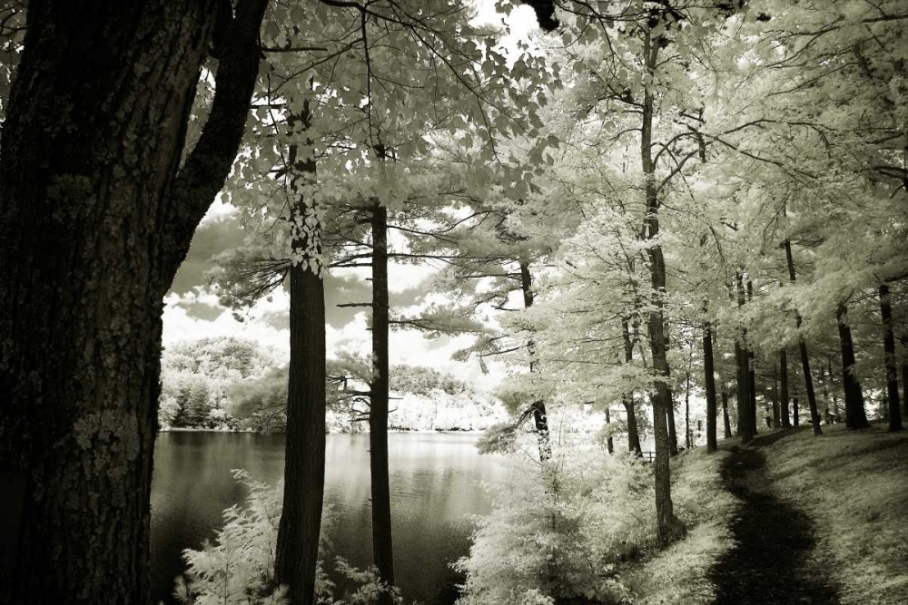 Along the Lakeshore II art print by Alan Hausenflock for $57.95 CAD
