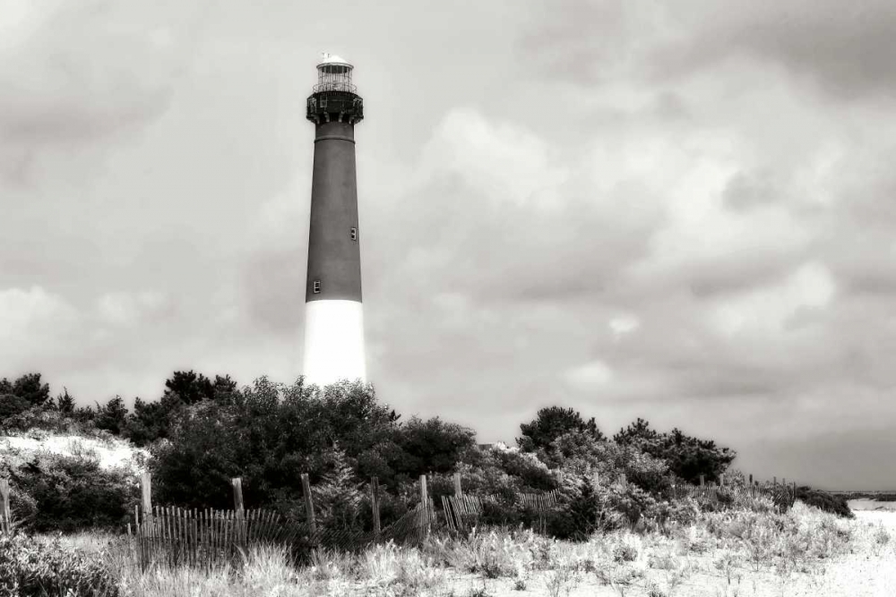 Barnegat Beach II art print by Alan Hausenflock for $57.95 CAD