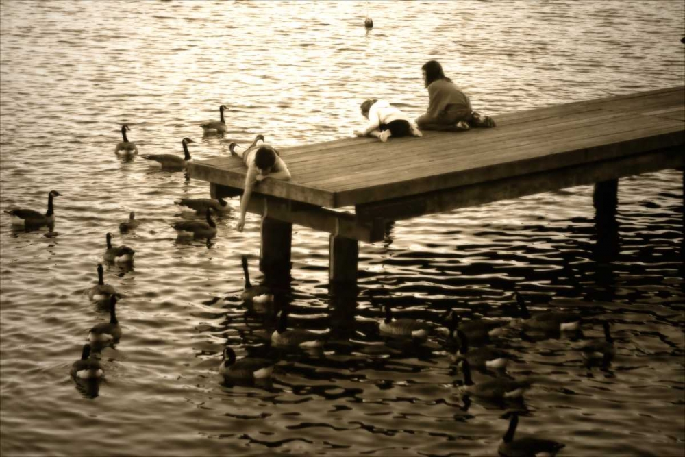 Feeding the Geese I art print by Alan Hausenflock for $57.95 CAD