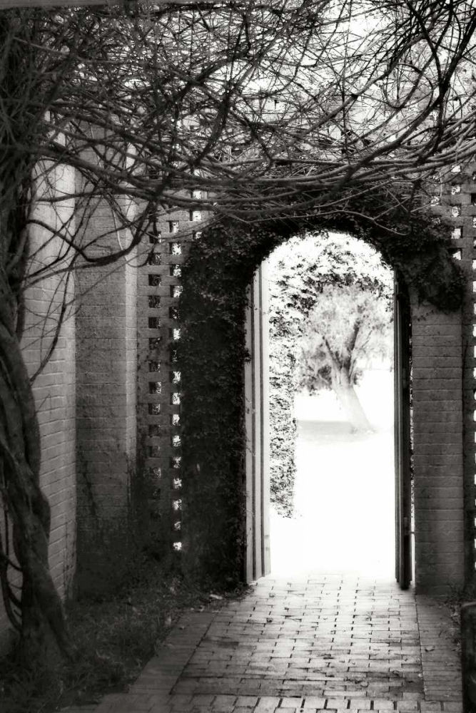 Brookgreen Doorway I art print by Alan Hausenflock for $57.95 CAD