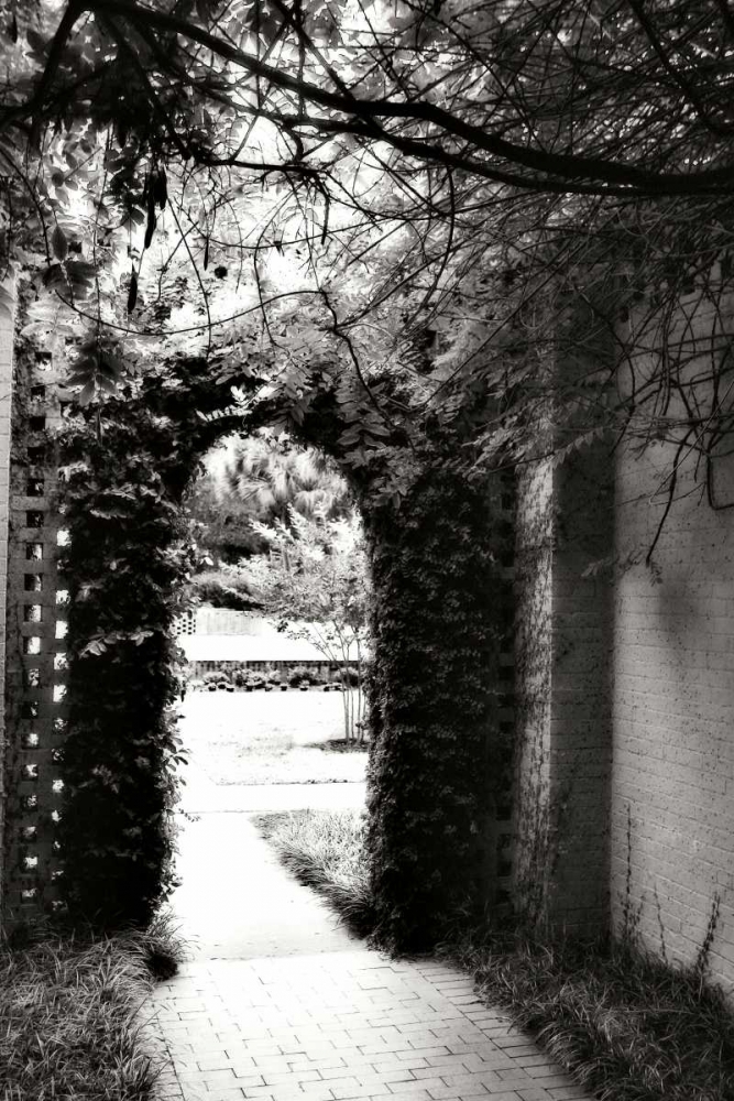 Brookgreen Doorway II art print by Alan Hausenflock for $57.95 CAD