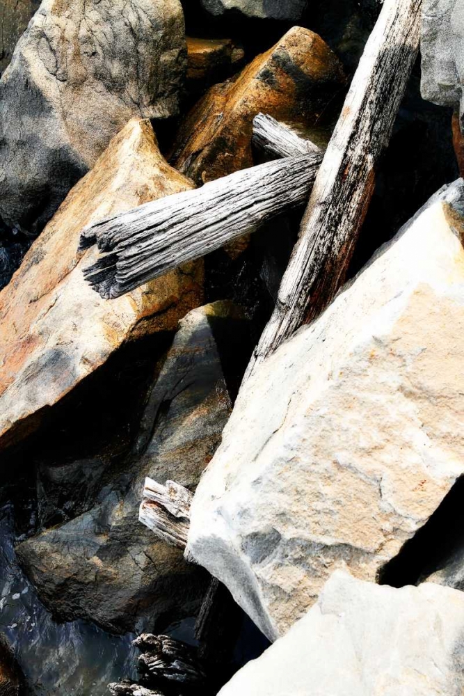 Rocks and Wood I art print by Alan Hausenflock for $57.95 CAD