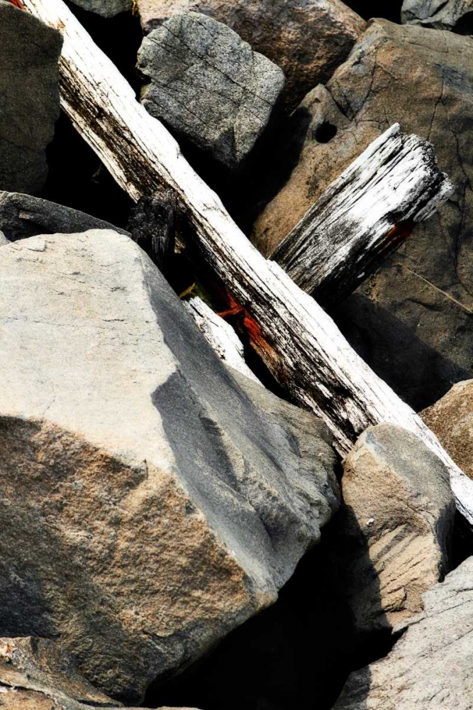 Rocks and Wood II art print by Alan Hausenflock for $57.95 CAD