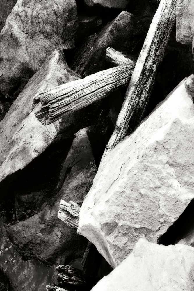 Rocks and Wood I BW art print by Alan Hausenflock for $57.95 CAD