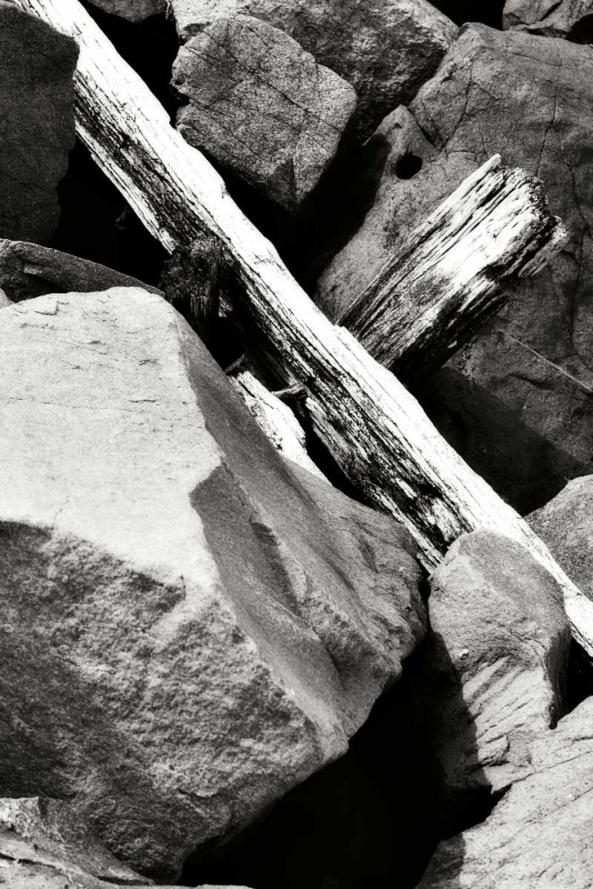 Rocks and Wood II BW art print by Alan Hausenflock for $57.95 CAD
