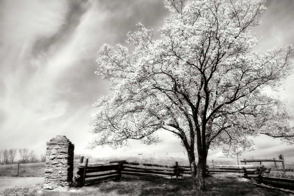 McCormick Road II art print by Alan Hausenflock for $57.95 CAD