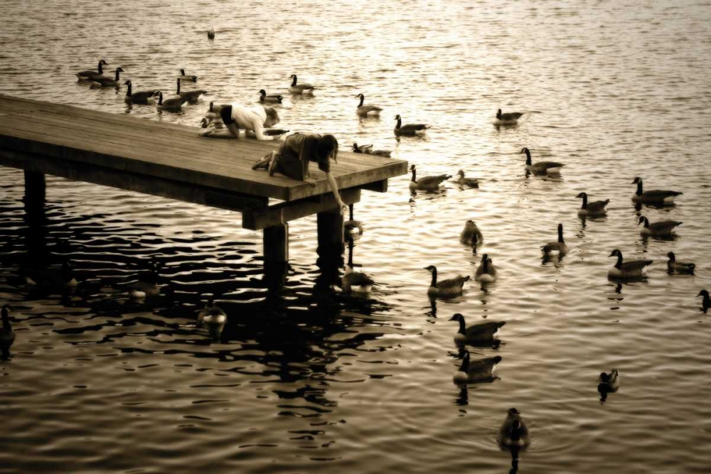 Feeding the Geese II art print by Alan Hausenflock for $57.95 CAD