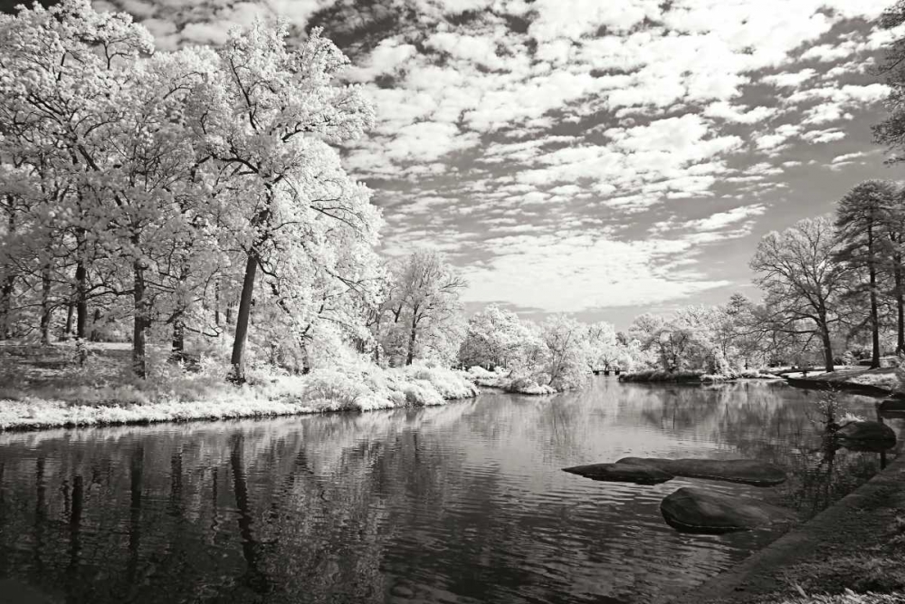 Youngs Pond art print by Alan Hausenflock for $57.95 CAD