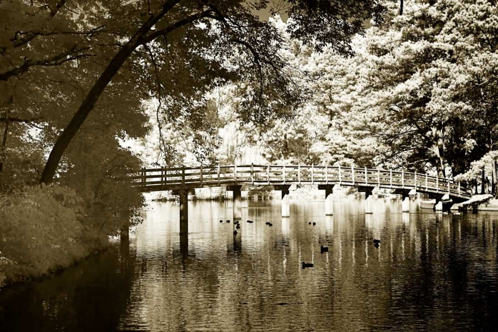 Westhampton Lake II art print by Alan Hausenflock for $57.95 CAD