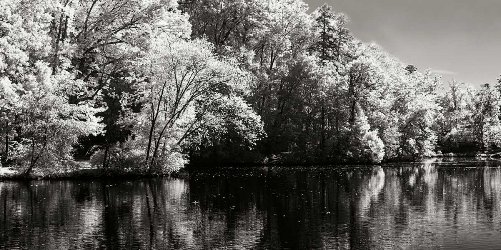 Cherokee Lake II art print by Alan Hausenflock for $57.95 CAD