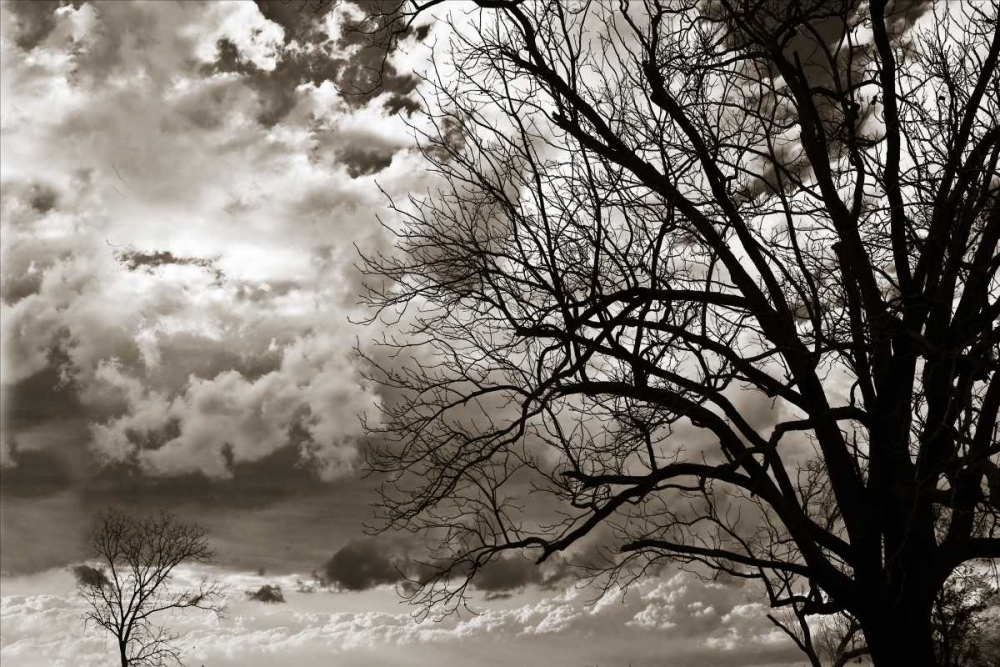 Approaching Storm I art print by Alan Hausenflock for $57.95 CAD
