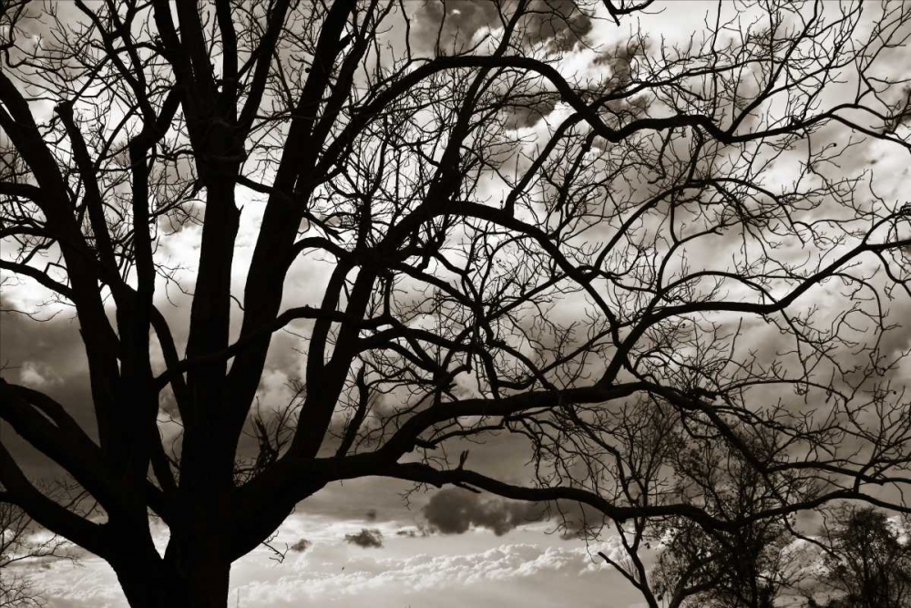 Approaching Storm II art print by Alan Hausenflock for $57.95 CAD