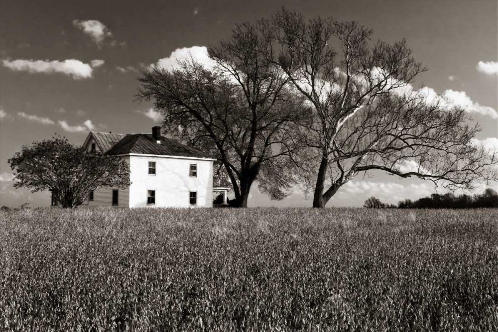 House on Malvern Hill art print by Alan Hausenflock for $57.95 CAD