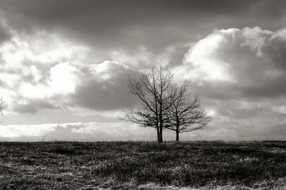 Winter Silence II art print by Alan Hausenflock for $57.95 CAD