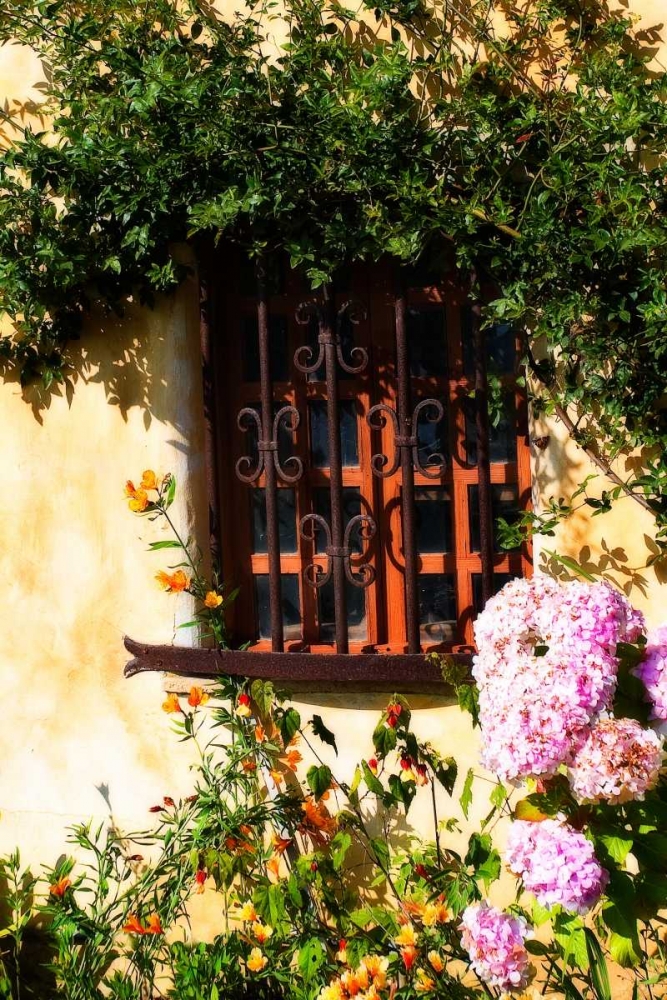 Mission Window art print by Alan Hausenflock for $57.95 CAD