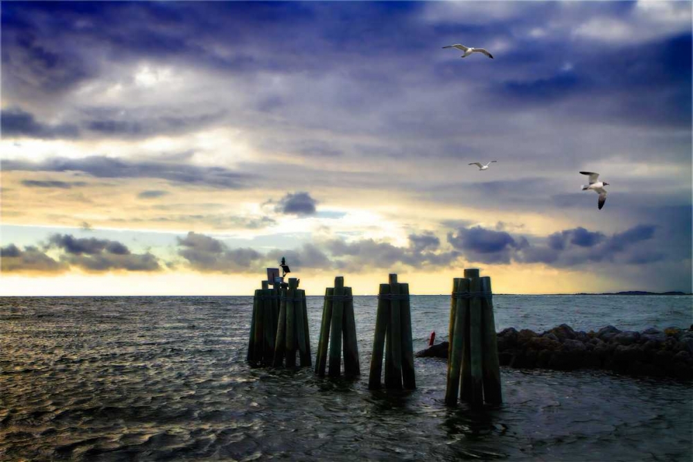 Cedar Island Quay II art print by Alan Hausenflock for $57.95 CAD