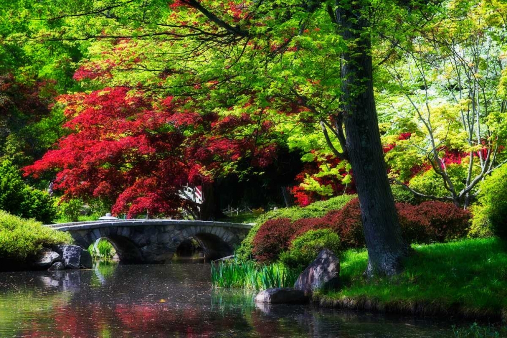 Meisho Garden I art print by Alan Hausenflock for $57.95 CAD