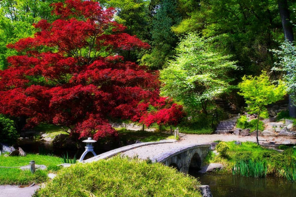 Meisho Garden II art print by Alan Hausenflock for $57.95 CAD
