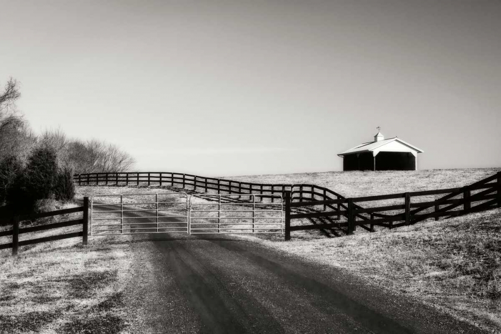 Albermarle Farm II art print by Alan Hausenflock for $57.95 CAD