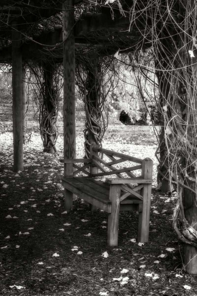 Winter Arbor II art print by Alan Hausenflock for $57.95 CAD