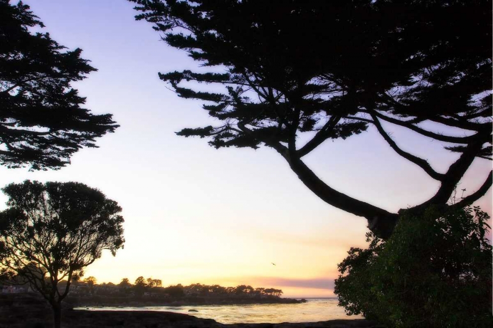 Sunset on Pacific Grove art print by Alan Hausenflock for $57.95 CAD