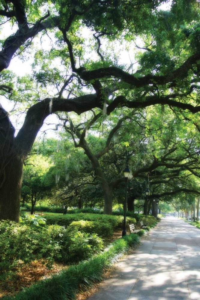 Savannah Sidewalk II art print by Alan Hausenflock for $57.95 CAD