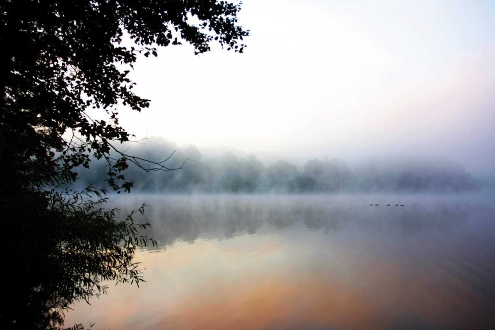 Misty Sunrise art print by Alan Hausenflock for $57.95 CAD